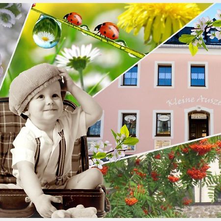 Pension Kleine Auszeit Аннаберг-Бухгольц Екстер'єр фото