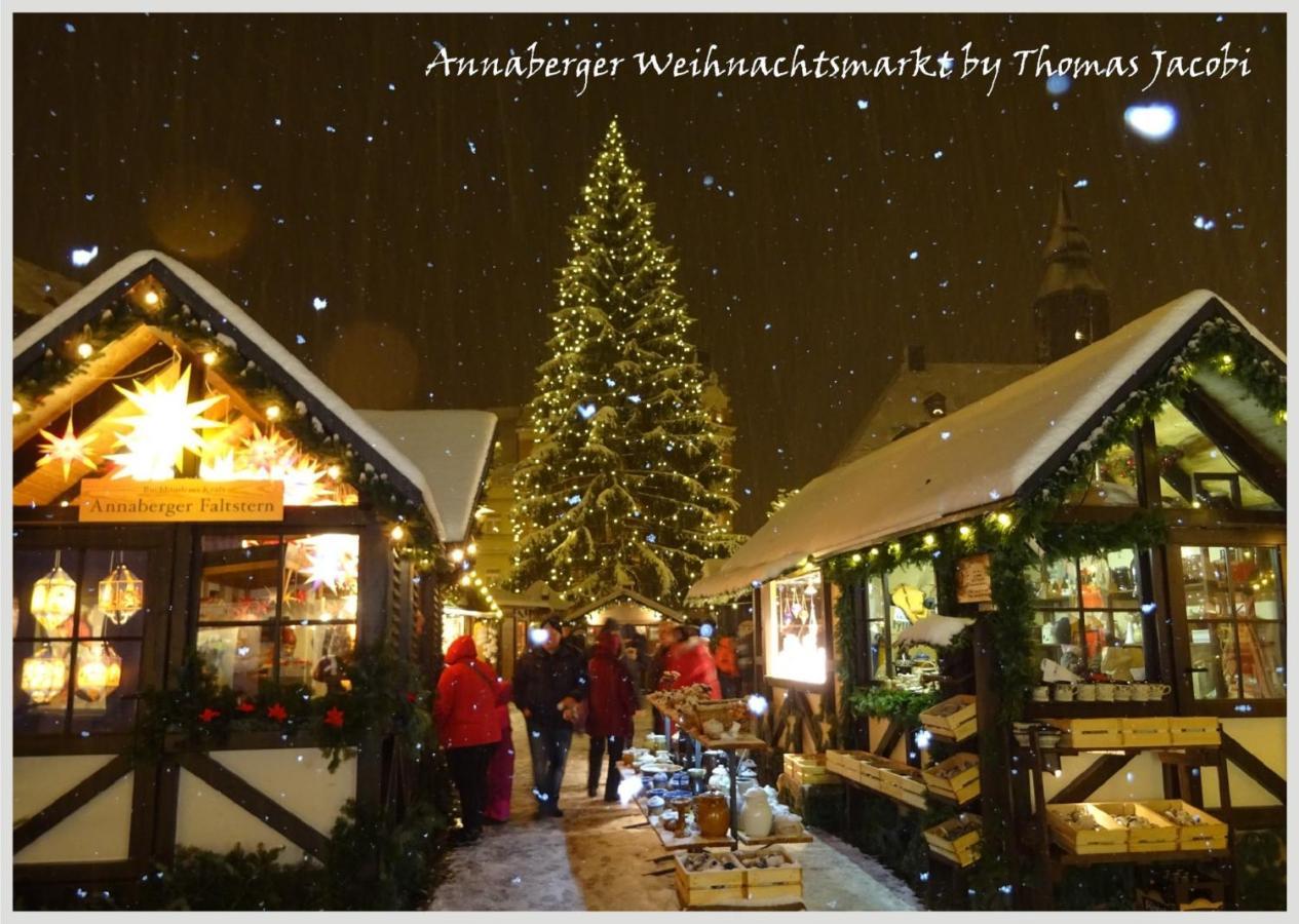 Pension Kleine Auszeit Аннаберг-Бухгольц Екстер'єр фото